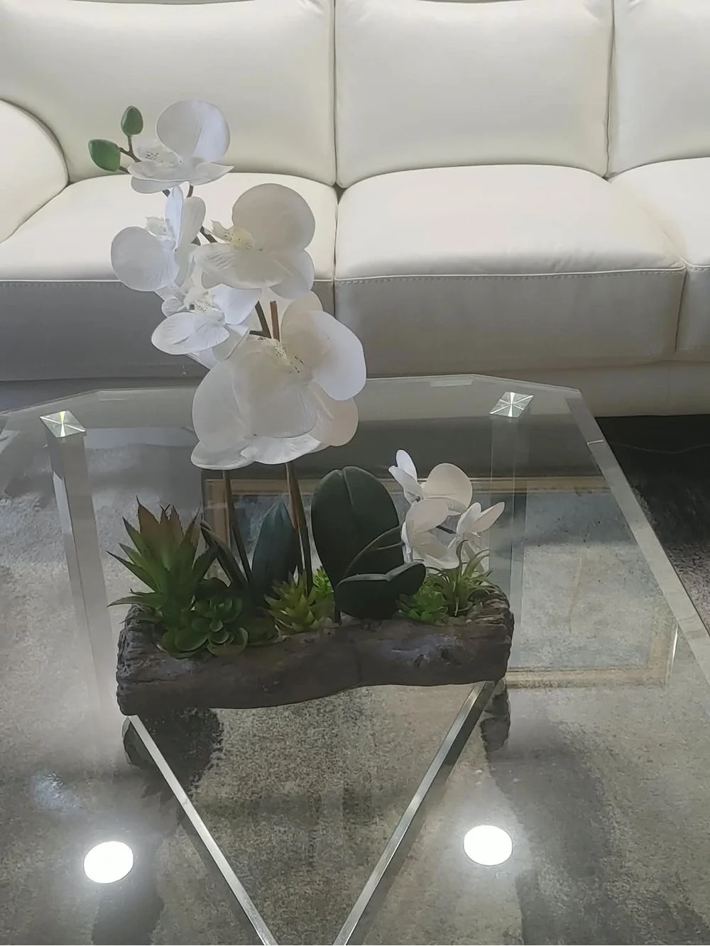 White Orchid and Succulent Tabletop Planter